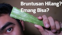TERBEBAS DARI JERAWAT MENGGUNAKAN LIDAH BUAYA? | Arief Rahman Hakim AT - Durasi: 4.01. TERBEBAS DARI JERAWAT MENGGUNAKAN LIDAH BUAYA? | Arief Rahman Hakim AT - Durasi: 4.01.