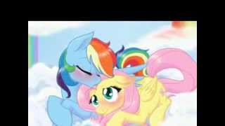 A flutterdash tribute