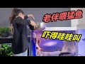 讓老婆徒手拿著食物餵魚,體驗養魚的樂趣,卻被嚇得撒腿就跑