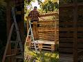 Crazy Pallet Transformation ✨ Building A Dream Backyard Nook #diy #garden