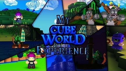 My Cube World Experience!