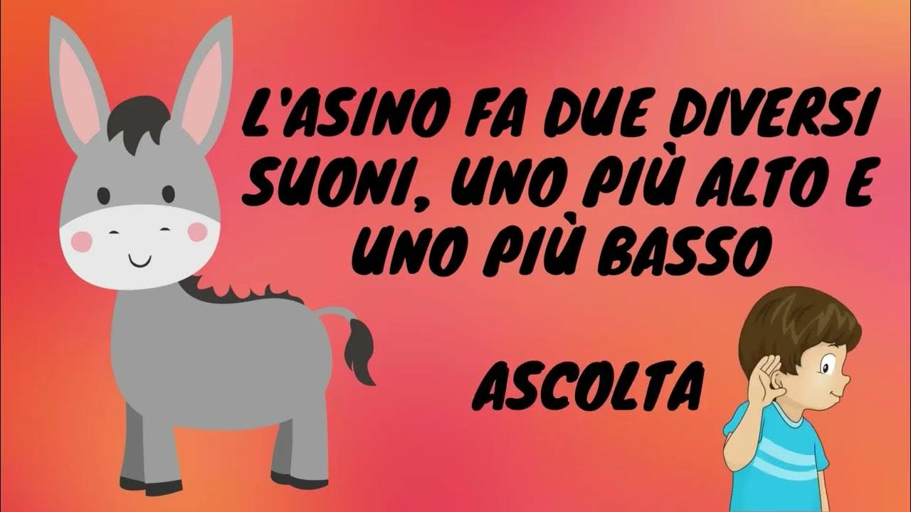 Qual è La Velocità Del Suono
