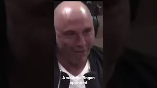 Joe Rogan Animal Sounds