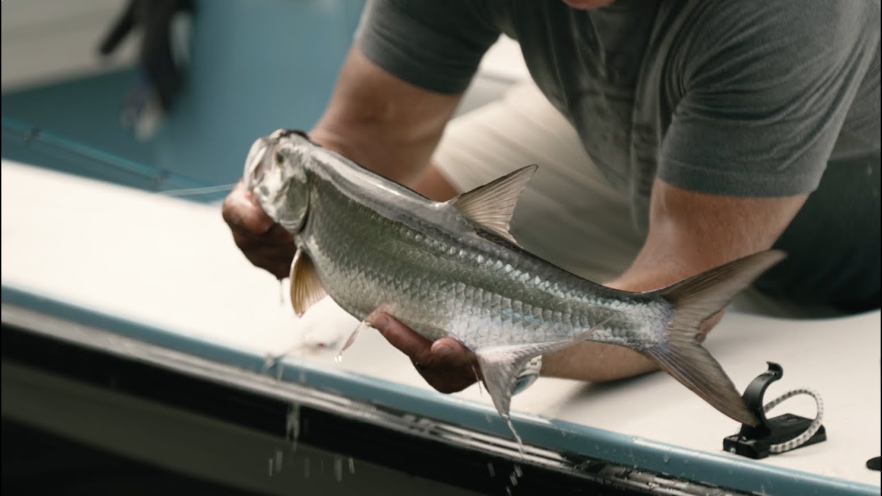 The Seahunter Season 10 Episode 4 | Gill Shaken