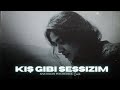 Kış Gibi Sessizim Bu Büyük Aşk Bir Rüyamıydı Anatolian Psychedelic Rock Cover Kış Gibi Sessizim Bu Büyük Aşk Bir Rüyamıydı Anatolian Psychedelic Rock Cover
