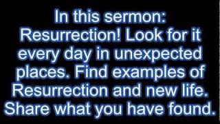 Easter 2011 sermon by David Barker