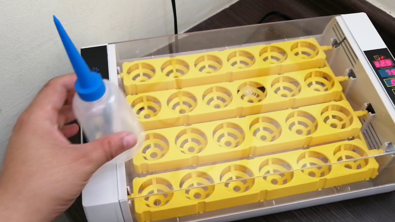 Como Usar la Incubadora de 24 huevos Automática