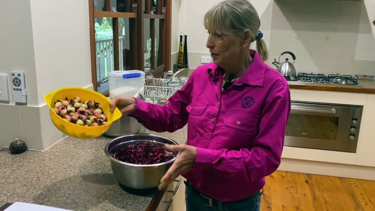 Home Made Rosella Jam