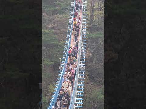 원주 소금산 출렁다리