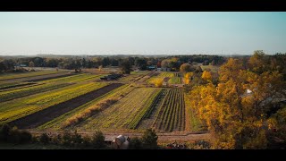 Trailer for 'The Henry Ford’s Farm to School Lunch Across America: Innovation in School Lunch'