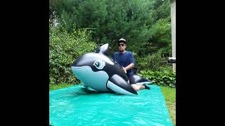 Pumping and Inflatable whale pop