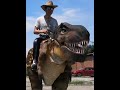 If you had a dinosaur, where would you want to ride it