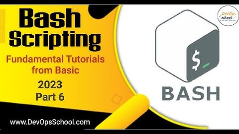 Bash Scripting Fundamental Tutorials from Basic 2023 - Part 6