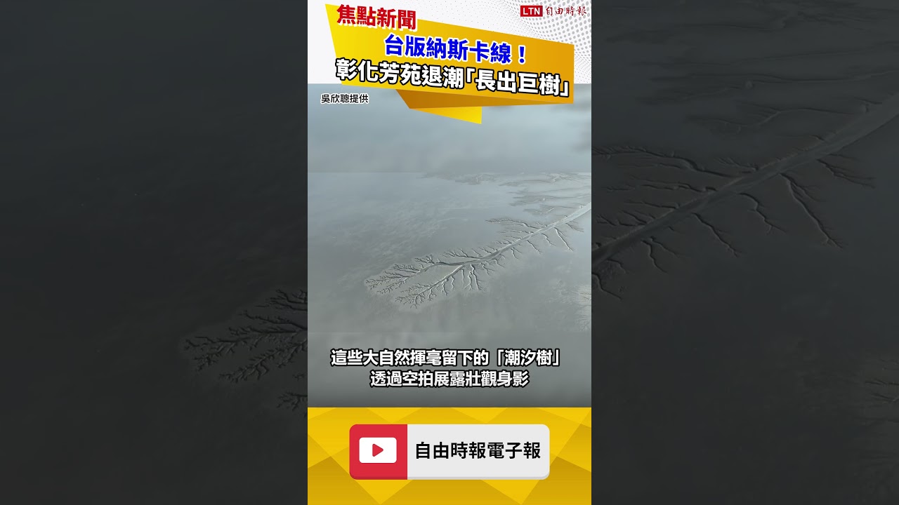 台版納斯卡線！彰化芳苑退潮「長出巨樹」 空拍揭奇幻大地畫作