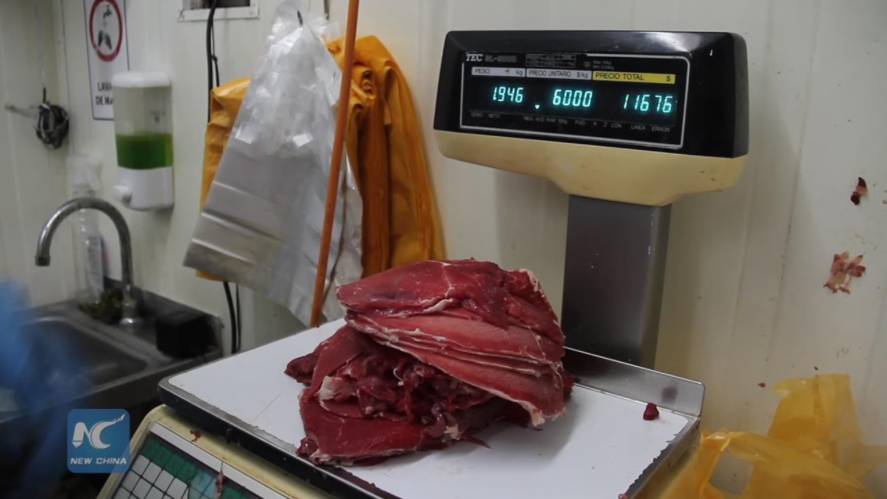 Brazilian meat packs up unsold in Chile, following government ban on imports