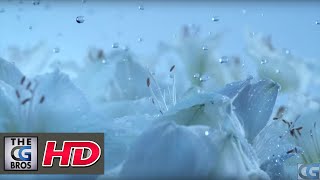 Download Lagu CGI VFX-spot: \ MP3 Download Lagu CGI VFX-spot: \ MP3