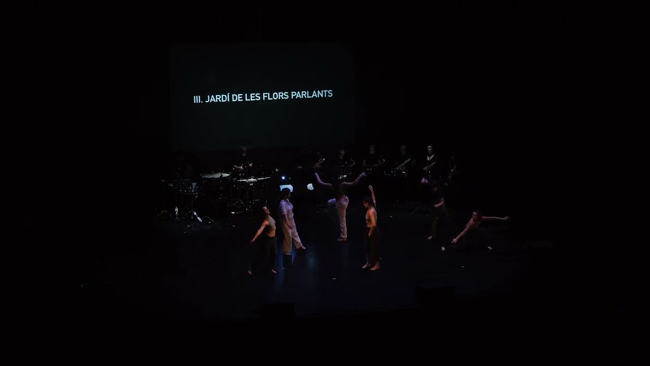 ALÍCIA A TRAVÉS DE L'ESPILL - David Leal, Asun Noales | Projecte pedagògic X-Ensems