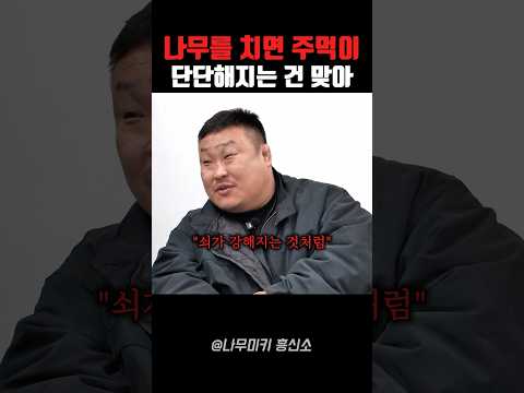 나무를 치면 펀치가 세집니까? thumbnail