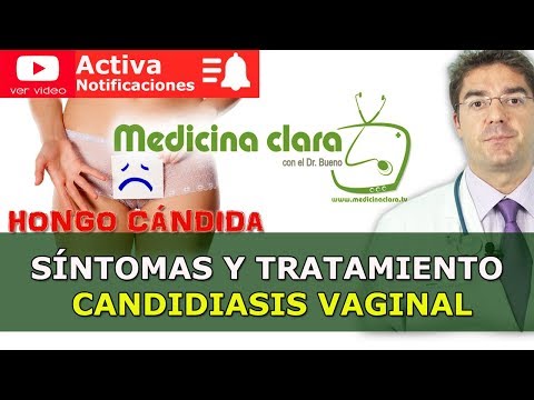 Vídeo: Protrusió Massiva De La Zona Vaginal En Gossos