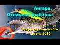 Ангара. Отличная рыбалка. Открытие лодочного сезона 2020