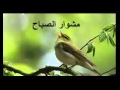 مشوار الصباح 17 102015