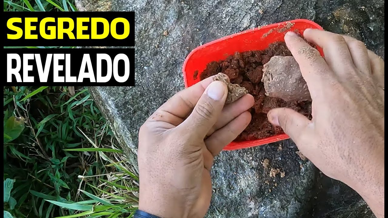 MELHOR MASSA PARA PESCAR TILÁPIA DO MUNDO - PASSO A PASSO