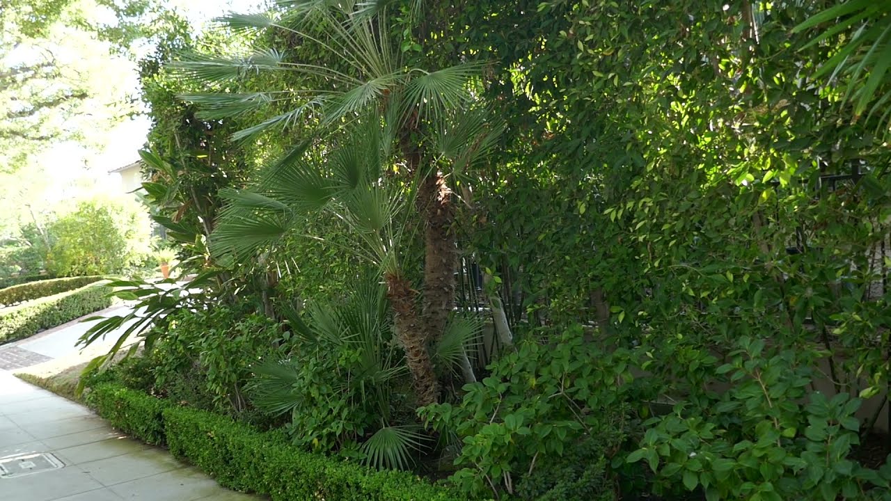 Actress Mabel Normand Actor Lew Cody Former Home House Beverly Hills California USA September 2021