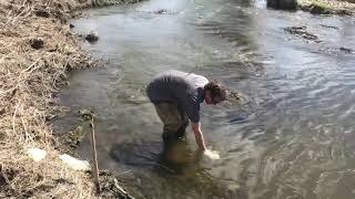 Collecting a replicate sample from a stream Profile