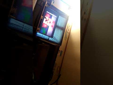 Doing the foxy song Doing the foxy song