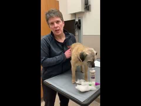 Ear cleaning demo