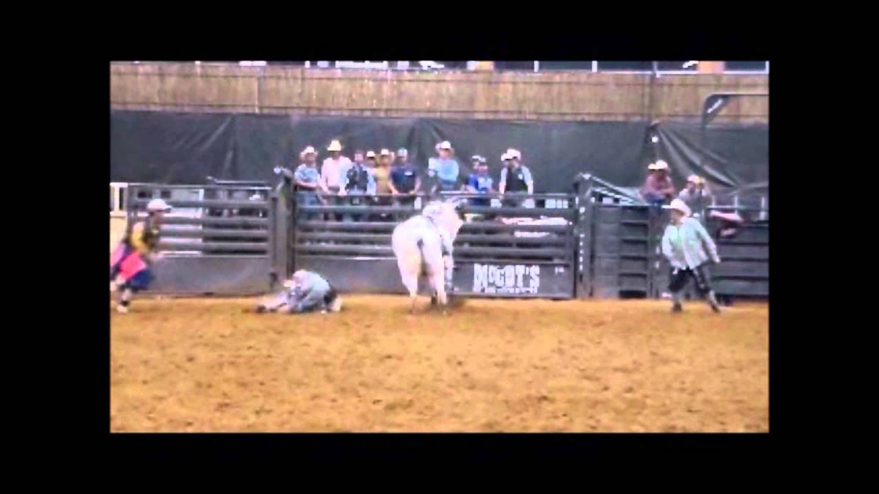 Boyd & Floyd - 2015 consignments for Benny Binion's World Famous Bucking Horse & Bull Sale