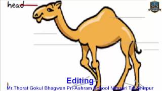 Lable the body parts of camel
