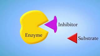 Bio chemistry reel making competetion Enzyme Inhibition