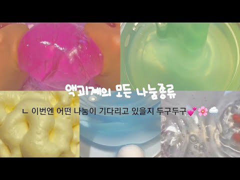 액괴계 모든 나눔의 종류🎀🌸