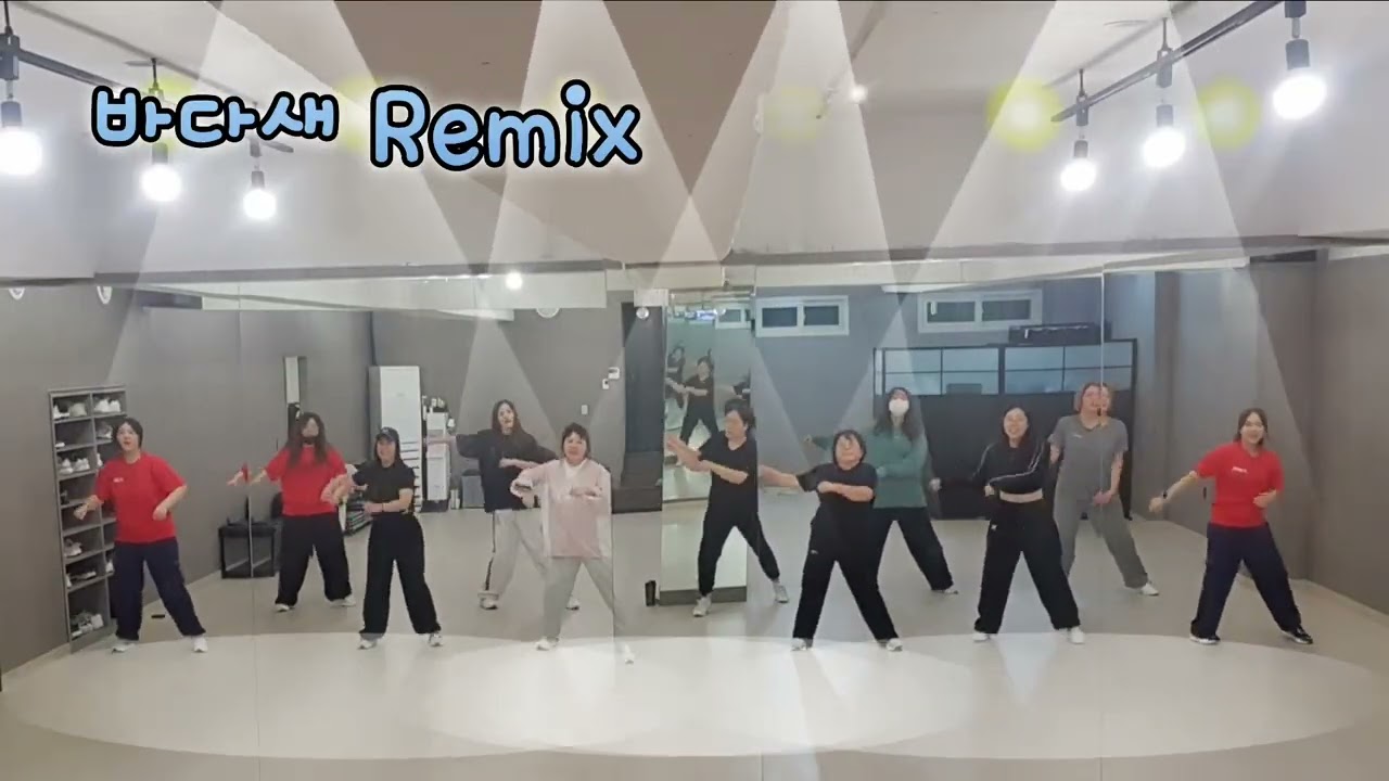 바다새 Remix 🌊 바다 향기 가득한 리듬에 지방은 날리고🔥 텐션은 올리고⬆️