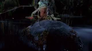 Budweiser Talking Frogs 480p