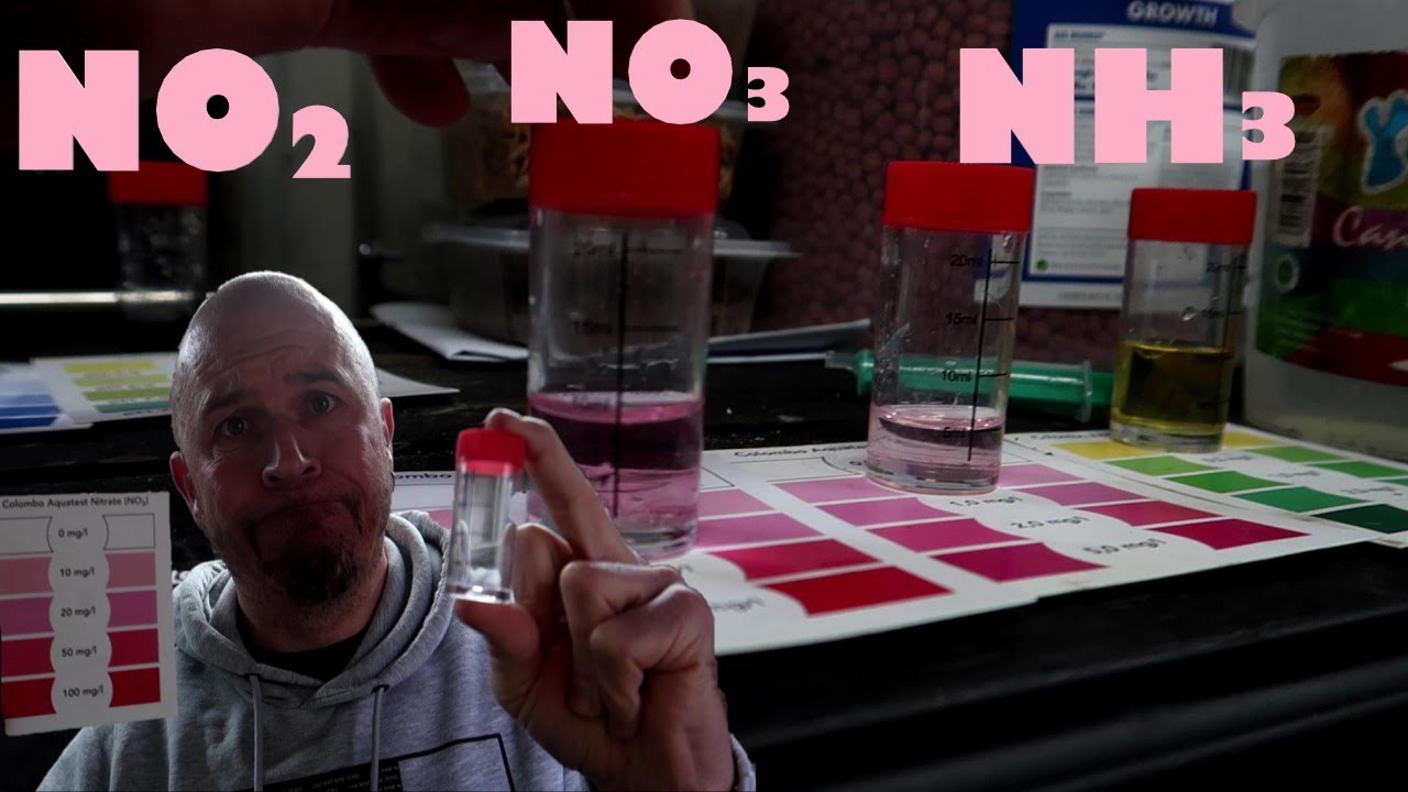 Koi Pond Water Testing | Nitrite Ammonia Nitrate PH - YouTube