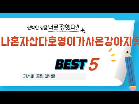 나혼자산다호영이가사온강아지옷 인기 추천 리뷰 TOP5