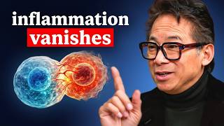 Best Remedies for INFLAMMATION That You Never Considered I Dr. William Li