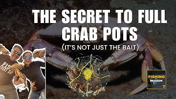 How to Catch More Dungeness Crab in Puget Sound | Best Bait, Depth & Tides for Crabbing