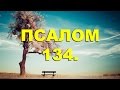 Псалтирь. ПСАЛОМ 134. [рус.]