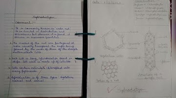 M.Sc. 1st SEM. PRACTICAL FILE OF BOTANY (Part 1)