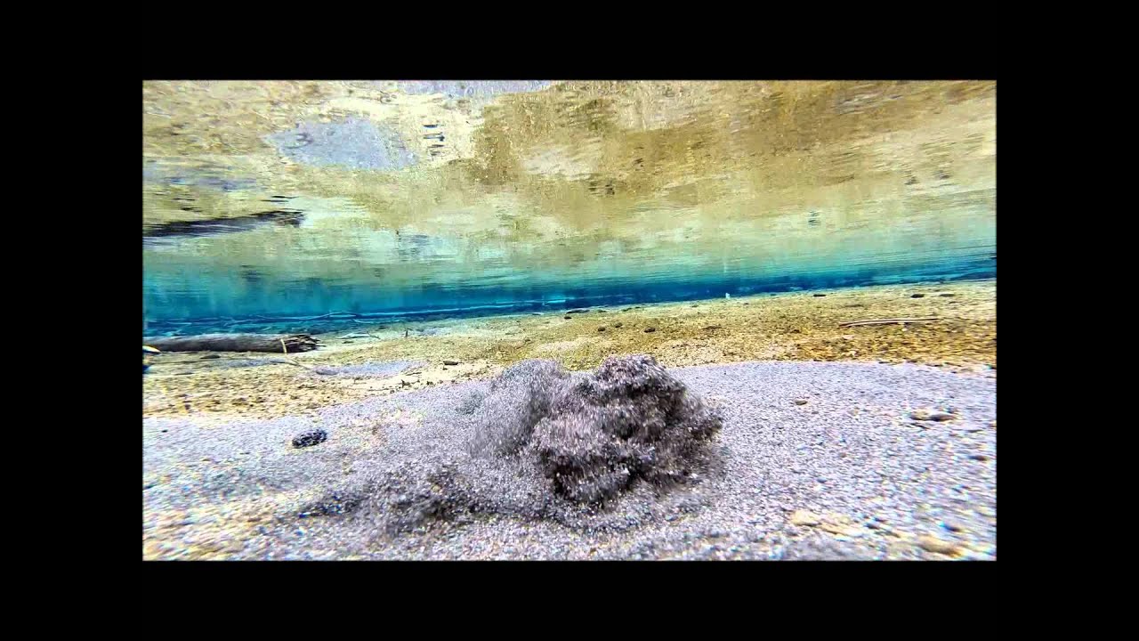 Spring Creek Oregon, underwater springs YouTube