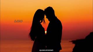 Los Palmeras & Jorge Rojas - Por Primera Vez (Letra/Lyrics)
