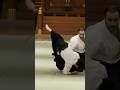Honno Enbukai Guillaume Erard #aikido #aikikai