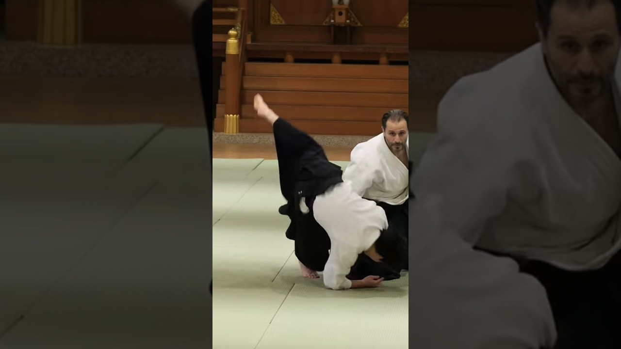Honno Enbukai Guillaume Erard #aikido #aikikai