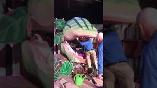 Audrey 2 (Large size)