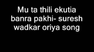 Video thumbnail of "Mu ta thili ekutia banra pakhi- suresh wadkar oriya song"