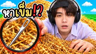ปกคลิป หาเข็มในกองฟาง!? | Roblox Search For The Needle โดย Tomaz ZabZa