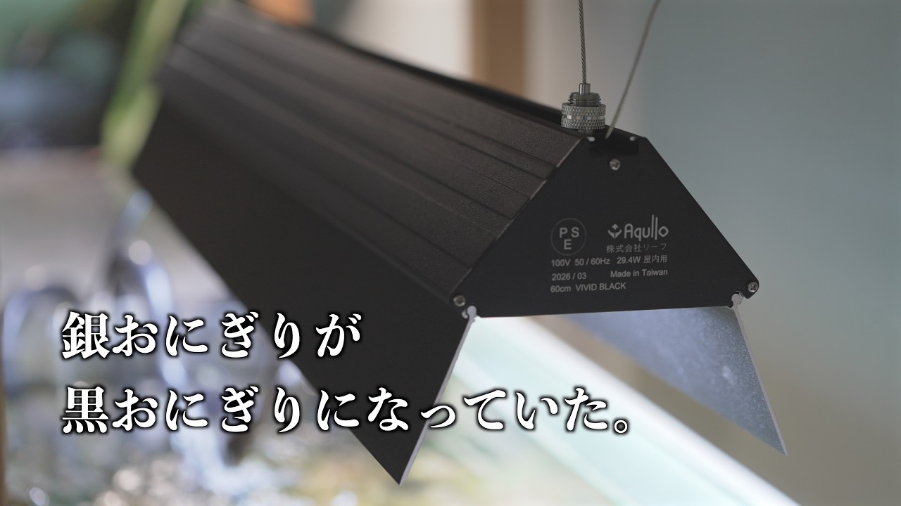 カッコ良くなりすぎ。超高コスパのあのライトが知らぬ間に進化していた。
